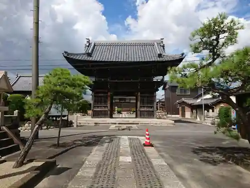 常観寺の山門