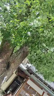 晴明神社(京都府)