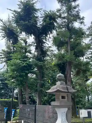 中野沼袋氷川神社(東京都)