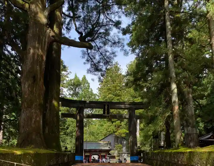 日光東照宮(栃木県)