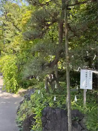 進雄神社(群馬県)