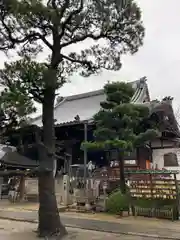 葛井寺の本殿