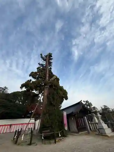 吉備津彦神社(岡山県)