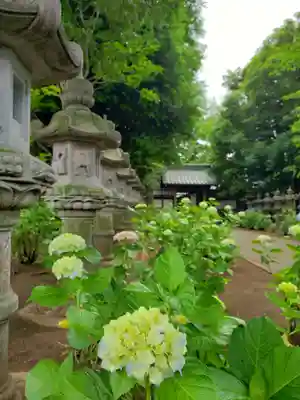 妙法寺(東京都)