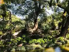 太宰府天満宮の庭園