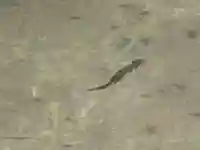 明寿院(滋賀県)