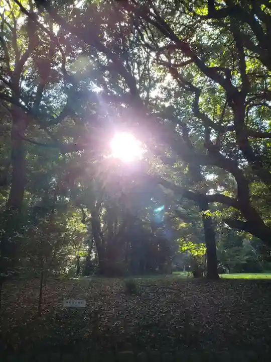 明治神宮の庭園