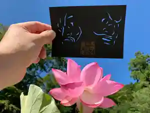 普門寺(切り絵御朱印発祥の寺)の御朱印(2021年07月22日(木) 08時43分11秒投稿)