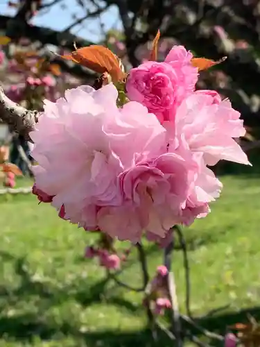 白雲神社(京都府)