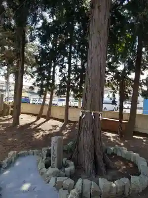 生出塚神社の自然