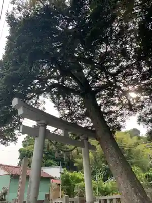 御嶽神社の鳥居