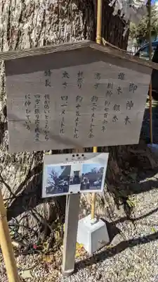 金山神社(愛知県)