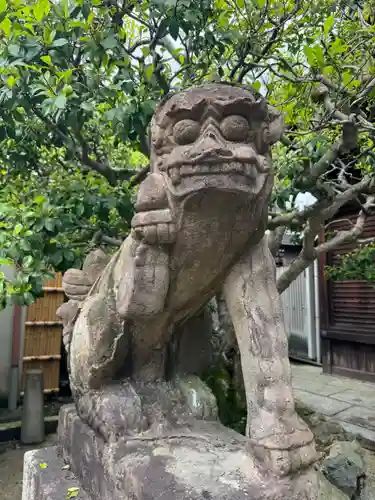 菅大臣神社の狛犬