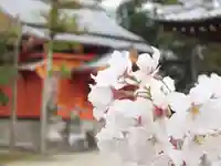 手原稲荷神社(滋賀県)