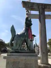 豊川閣　妙厳寺の狛犬