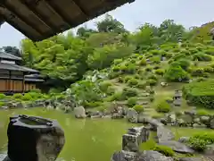 根来寺 智積院(京都府)