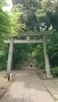 赤坂氷川神社の鳥居