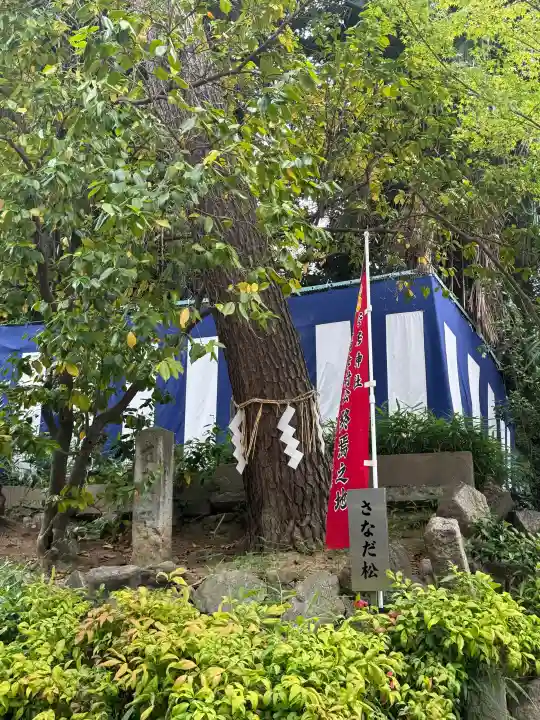 安居神社(大阪府)