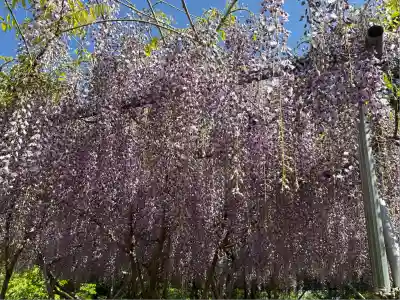 茨城縣護國神社(茨城県)