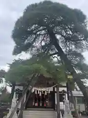 高靇神社(千葉県)