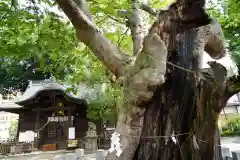 阿邪訶根神社の建物その他