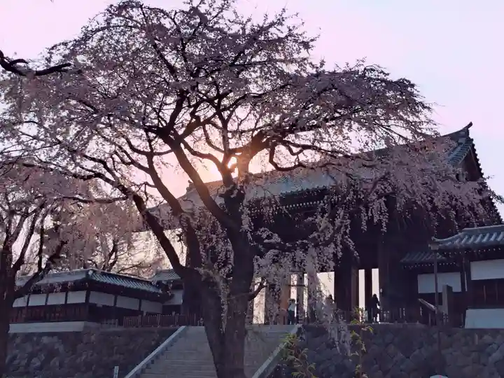 東郷寺(東京都)