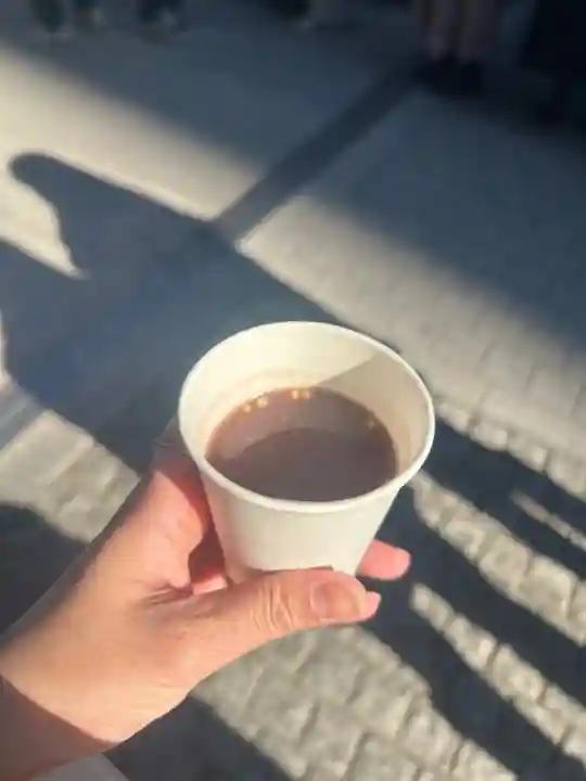 東京大神宮(東京都)