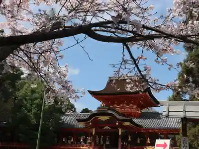 石清水八幡宮の本殿・本堂