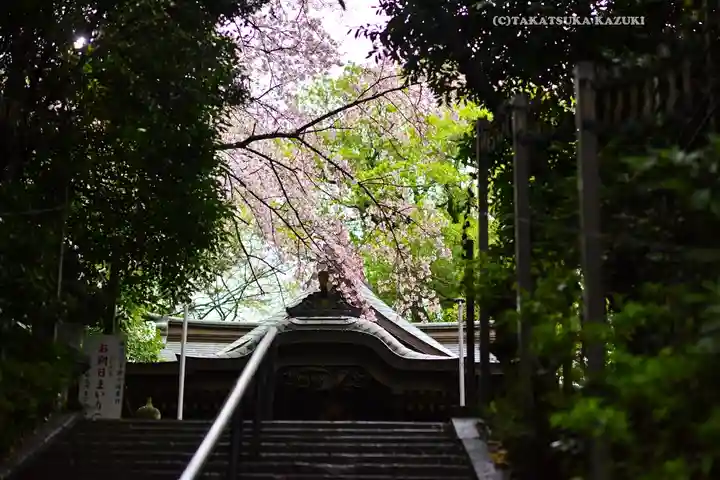 座間神社(神奈川県)