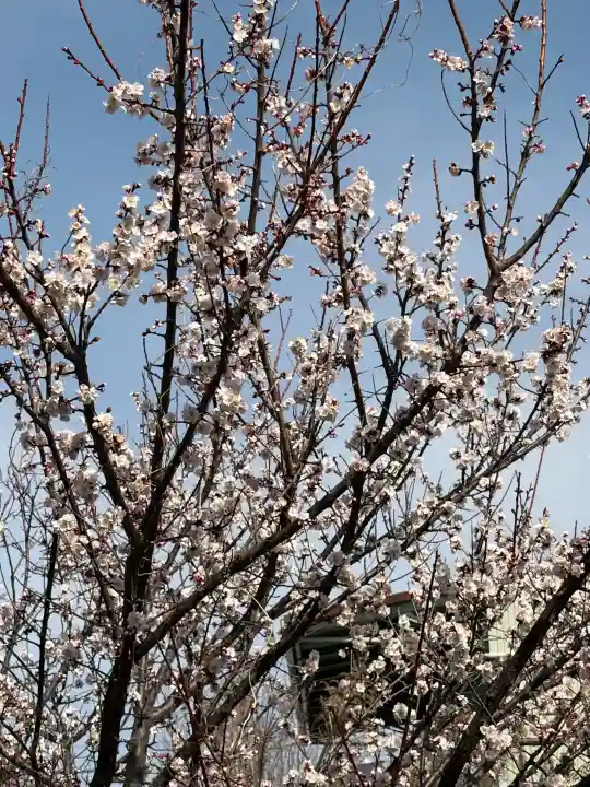 女体神社の{uncategorized: "未分類", other: "その他", undefined: "問題あり", building: "その他建物", grave: "お墓", sacred_gate: "鳥居", guardian: "狛犬", statue: "像", buddha: "仏像", history: "歴史", nature: "自然", garden: "庭園", animal: "動物", pagoda: "塔", temizu: "手水舎", mountain_gate: "山門・神門", sanctuary: "本殿・本堂", subordinate: "末社・摂社", art: "芸術", scenery: "景色", jizo: "地蔵", ema: "絵馬", goshuin: "御朱印", omikuji: "おみくじ", items: "授与品その他", amulet: "お守り", goshuincho: "御朱印帳", eats: "食事", festival: "お祭り", votive_dance: "神楽", shichigosan: "七五三参", wedding: "結婚式", experience: "体験その他", initially: "初詣", around: "周辺", anti_infection: "感染症対策"}