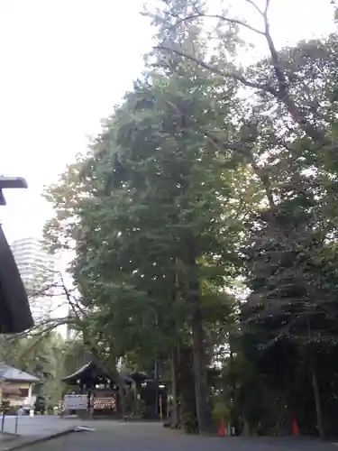 所澤神明社のその他建物