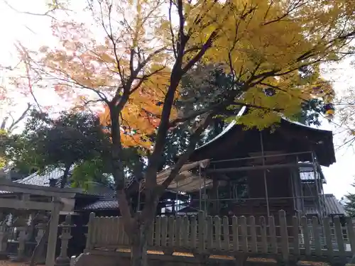 八幡神社(滋賀県)