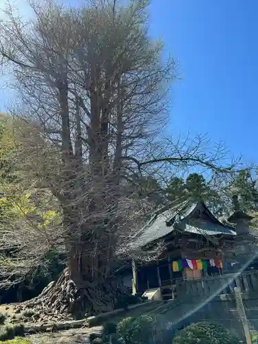 正法寺(埼玉県)