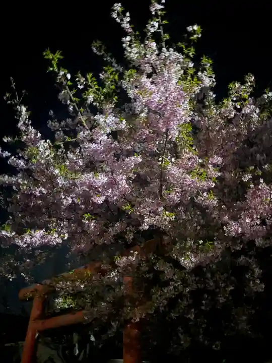 孫太郎神社の{uncategorized: "未分類", other: "その他", undefined: "問題あり", building: "その他建物", grave: "お墓", sacred_gate: "鳥居", guardian: "狛犬", statue: "像", buddha: "仏像", history: "歴史", nature: "自然", garden: "庭園", animal: "動物", pagoda: "塔", temizu: "手水舎", mountain_gate: "山門・神門", sanctuary: "本殿・本堂", subordinate: "末社・摂社", art: "芸術", scenery: "景色", jizo: "地蔵", ema: "絵馬", goshuin: "御朱印", omikuji: "おみくじ", items: "授与品その他", amulet: "お守り", goshuincho: "御朱印帳", eats: "食事", festival: "お祭り", votive_dance: "神楽", shichigosan: "七五三参", wedding: "結婚式", experience: "体験その他", initially: "初詣", around: "周辺", anti_infection: "感染症対策"}