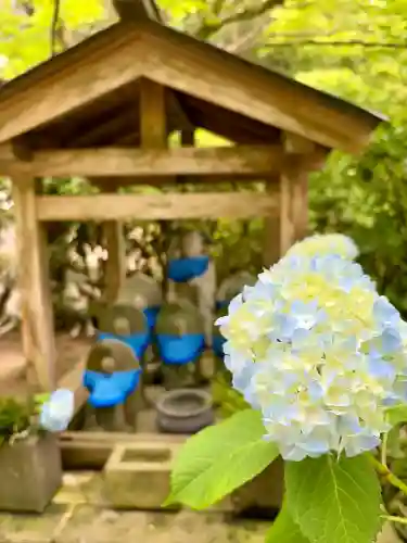 明月院(神奈川県)