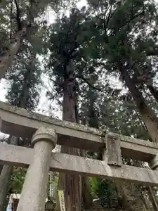 大宮温泉神社(栃木県)(2024年03月05日(火) 12時53分49秒投稿)