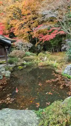 寂光院(京都府)
