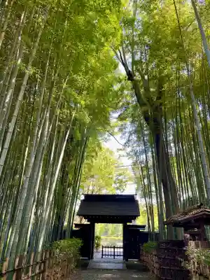 妙光院(東京都)
