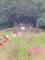 結縁寺(千葉県)