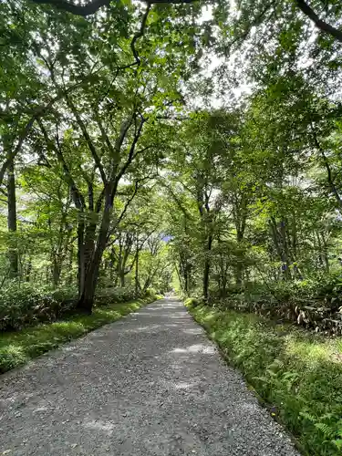 戸隠神社奥社(長野県)