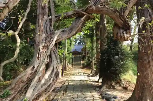 春日神社の自然