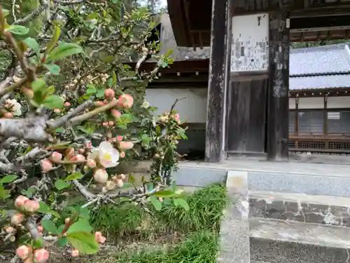 玉泉寺(埼玉県)