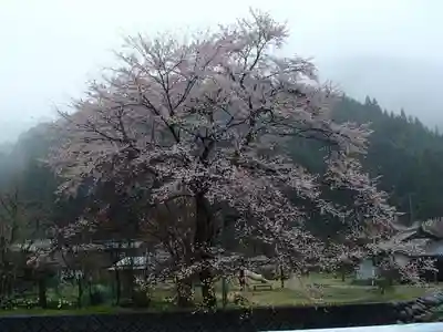寺尾観音堂の庭園