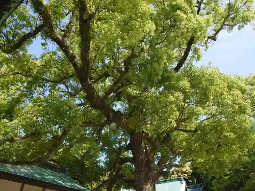 玉祖神社(山口県)