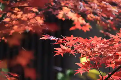 愛宕神社の庭園