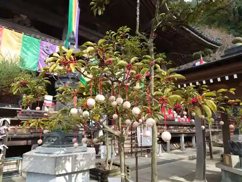 岡寺（龍蓋寺）の御朱印