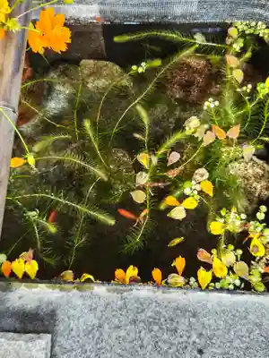 高司神社〜むすびの神の鎮まる社〜(福島県)