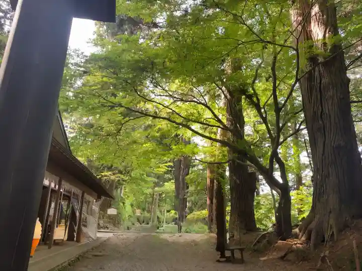 中尊寺(岩手県)