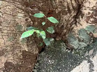 岩滝山毘沙門堂(岐阜県)