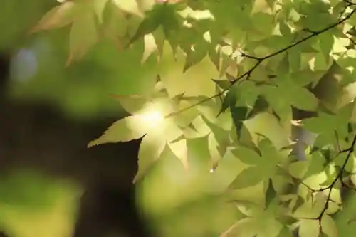 鹿島大神宮の庭園